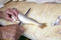 Fishmonger cleaning fish