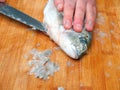 Fishmonger cleaning raw uncooked sea bream on wooden board with sharp knife. Scales on the board, belly cutting stage