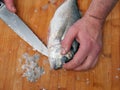 Fishmonger cleaning raw uncooked sea bream on wooden board with sharp knife. Scales on the board, belly cutting stage