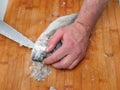 Fishmonger cleaning raw uncooked sea bream on wooden board with sharp knife. Scales on the board, belly cutting stage