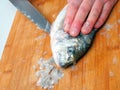 Fishmonger cleaning raw uncooked sea bream on wooden board with sharp knife. Scales on the board, belly cutting stage