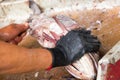 Fishmonger hands covered with glove gutting big fish Royalty Free Stock Photo