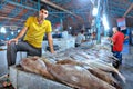 Fishmonger at the indoor fish market, stands near its products.