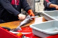 Fishmonger preps fish