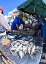 Fishmongers in Taghazout surf village,agadir,morocco Royalty Free Stock Photo