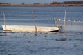 Fishpond with boat