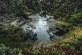 Fishpond overgrown with duckweed, countryside Royalty Free Stock Photo