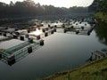 Fishponds in situ gintung lake