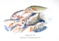 Fishs watercolor painted Royalty Free Stock Photo