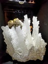 Fishtail calcite for display at the Perot Museum, Dallas