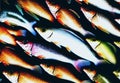 fishy background. Ai generated Royalty Free Stock Photo