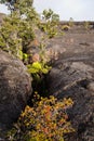 Fissure in Hawaii Volcanoes National Park