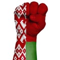 Fist of Belarus flag painted, multi purpose concept