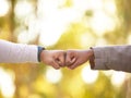 Fist bump in nature, closeup and friends show support, solidarity or partnership for victory, winning together or Royalty Free Stock Photo