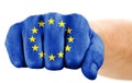 Fist with european union flag