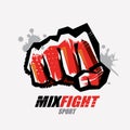 Fist symbol, martial arts concept Royalty Free Stock Photo