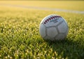 Fistball on Dewy Grass Field in Morning Sunlight Royalty Free Stock Photo