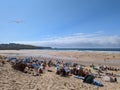 Fistral beach, Newquay, Cornwall Royalty Free Stock Photo