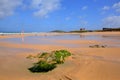 Fistral beach Newquay Cornwall uk with rocks and green seaweed Royalty Free Stock Photo