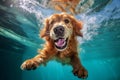 puppy dog underwater snorkeling vacation pool swimming fun funny water. Generative AI.