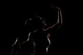 Fit girl practicing yoga in a studio. Half silhouette side lit fitness model