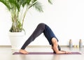 Fit man doing a yoga dolphin pose in a gym Royalty Free Stock Photo