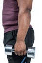 Fit man exercising with dumbbell Royalty Free Stock Photo