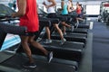 Fit people exercising on treadmill in fitness center Royalty Free Stock Photo