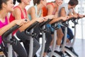 Fit people working out at spinning class Royalty Free Stock Photo