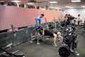 Fit people working out in weights room Royalty Free Stock Photo