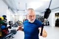 Fit senior man in gym working out with weights. Royalty Free Stock Photo