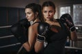 Fit slim young beautiful brunette women boxing in sportswear. Da