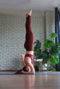 Fit sporty girl doing advanced yoga. Supported headstand, salamba sirsasana Royalty Free Stock Photo