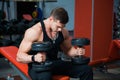 Fit strong athlete holding heavy dumbbells.