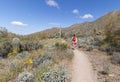 Fit Woman With Backpack On A Desert Hiking Trail In Arizona