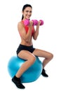Fit woman in gym working out with dumbbells Royalty Free Stock Photo