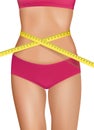 Fit young woman body with measured waistline. Royalty Free Stock Photo
