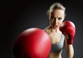 Fit, young woman boxer punching Royalty Free Stock Photo