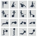 Fitness Ball Icons Set