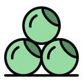 Fitness balls icon vector flat