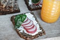 Fitness bread with cottage cheese, radish and basil and Orange j Royalty Free Stock Photo