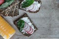 Fitness bread with cottage cheese, radish and basil and Orange j Royalty Free Stock Photo