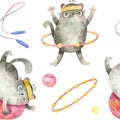 Fitness cats. Cute characters are spinning a sports hoop, playing fitball.