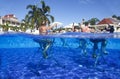 Dominican Republic, Hotel Grand Bahia Principe Aquamarine, 12.07.2018, aqua aerobics on bikes Royalty Free Stock Photo