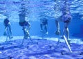 Touristen doing aqua aerobics on exercise bikes in swimming pool tropical hotel Royalty Free Stock Photo