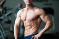 Fitness concept. Muscular and torso of young man having perfect abs, bicep and chest. Male hunk with athletic body. Royalty Free Stock Photo