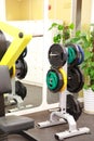 Fitness dumbbell at grm