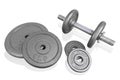 Fitness exercise equipment silver dumbbell and weights plate iso Royalty Free Stock Photo