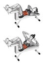 Fitness exercising. Crunch Bench. Female Royalty Free Stock Photo