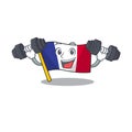 Fitness flag france fluttered on character pole